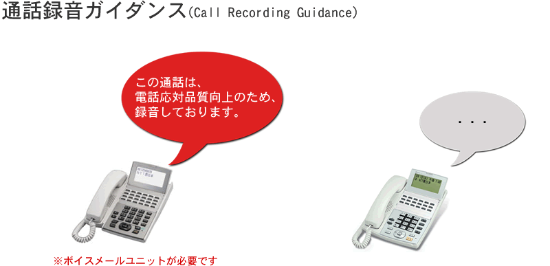 αNXⅡ αNX 通話録音　音声メールユニット　ボイスメール